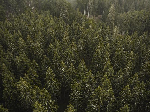 Miljøcertificering ISO 14001 – vi skal videre