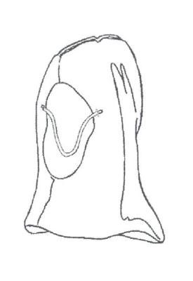 Honeywell - Honeywell hætte - A160251 - Dragt & overtræk tilbehør